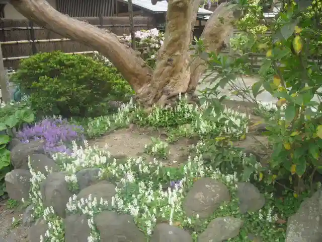 補陀洛寺の自然