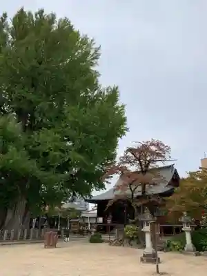 飛騨国分寺の本殿・本堂