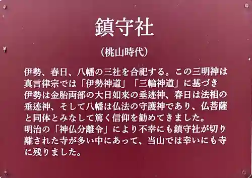 般若寺 ❁﻿コスモス寺❁(奈良県)