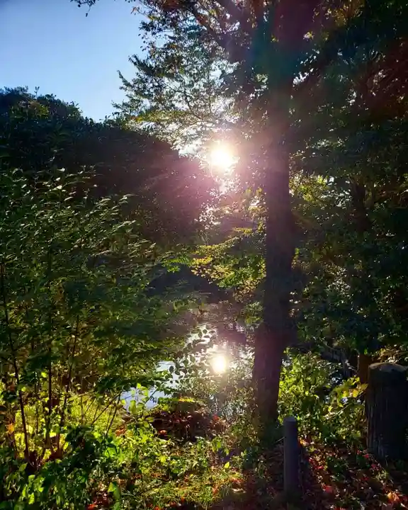 明治神宮の自然