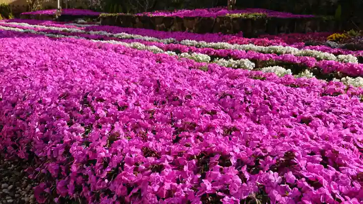 寿量山 速成寺の庭園