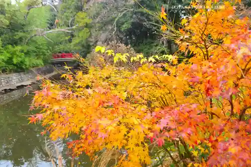 武蔵一宮氷川神社(埼玉県)