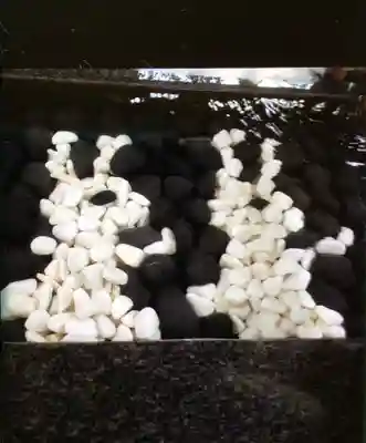 熊野神社(東京都)