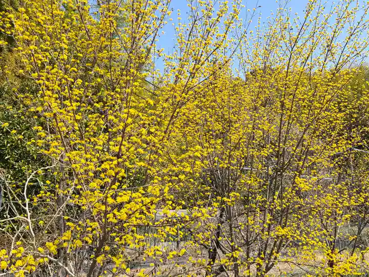 由加神社(和気由加神社)(岡山県)