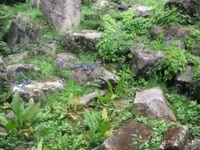 青龍山 吉祥寺(群馬県)