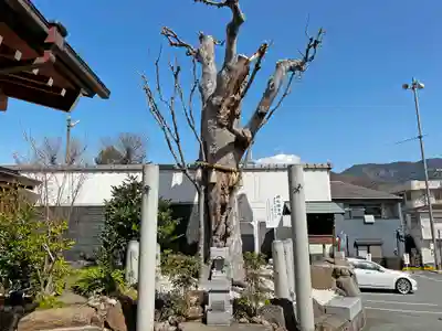 甲斐奈神社(山梨県)