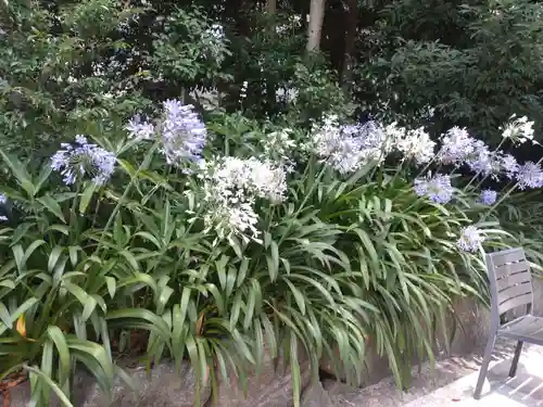 靖國神社の庭園