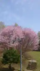 相馬神社(北海道)