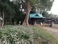 酒門神社の自然