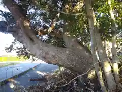 網場台稲荷神社の自然