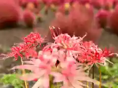 遠照寺(山梨県)