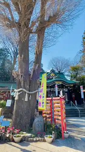 川越八幡宮(埼玉県)