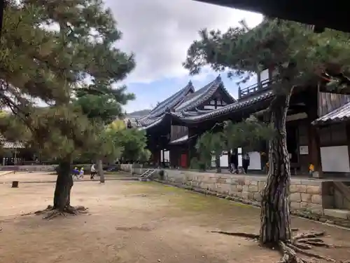 萬福寺(京都府)