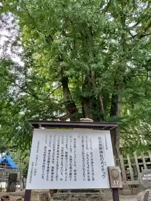 新宮熊野神社(福島県)