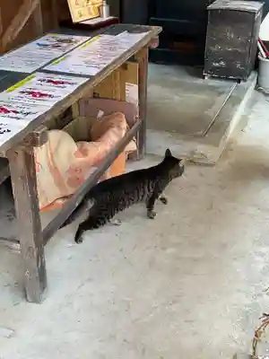 井際山 如意輪寺(愛知県)