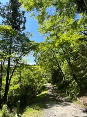 秩父御嶽神社(埼玉県)