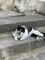 大綱金刀比羅神社(神奈川県)