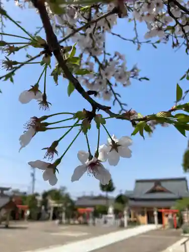 總社 和田八幡宮(福井県)