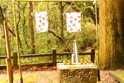 瀧神社(都農神社末社(奥宮))(宮崎県)