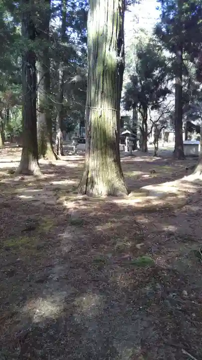 香取星神社のその他建物