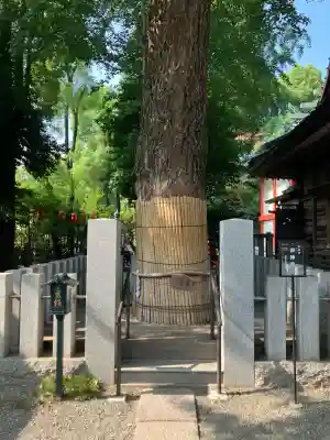 田無神社(東京都)