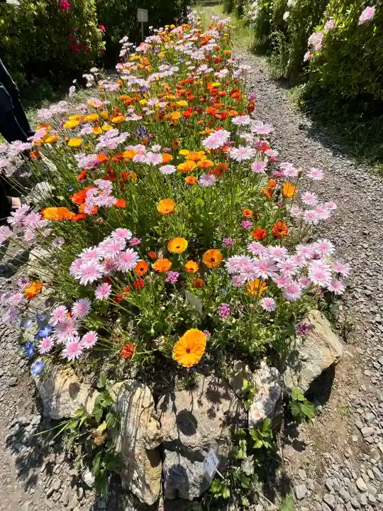 白毫寺熊野権現社(兵庫県)
