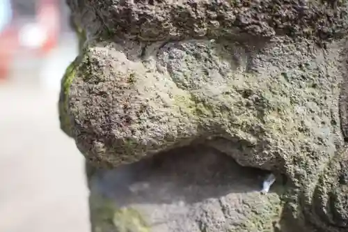 青渭神社の狛犬