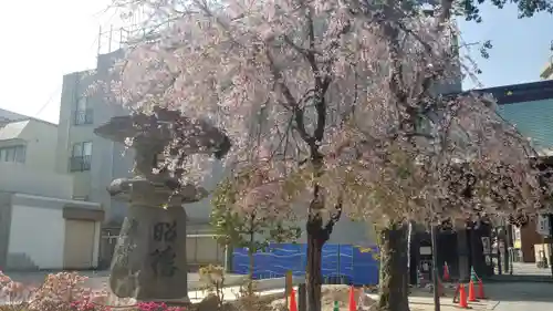 櫛田神社の自然