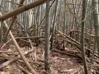八幡神社の周辺