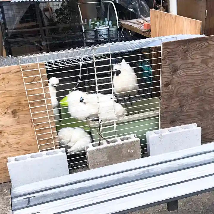 榮久山大法寺(東京都)