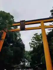 川越氷川神社の鳥居