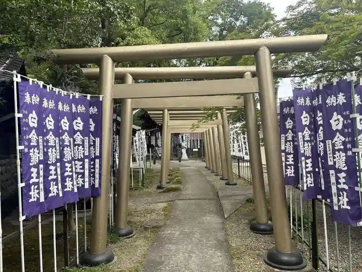 白金龍王社(愛知県)