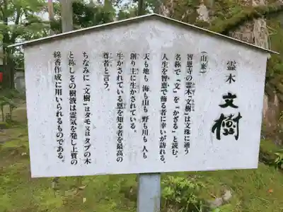 智恩寺(京都府)