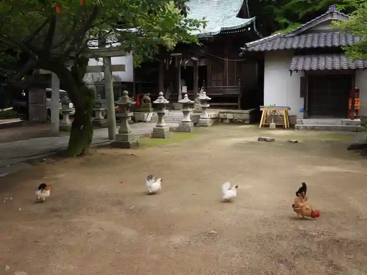 忌宮神社(山口県)