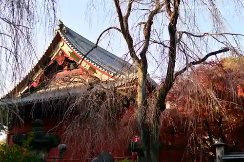 清水観音堂のその他建物