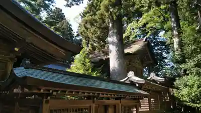雄山神社前立社壇の本殿・本堂