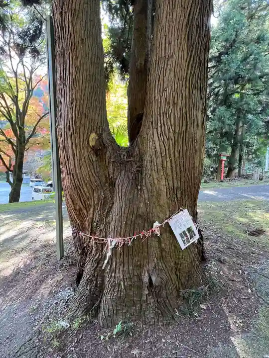 満願寺(栃木県)