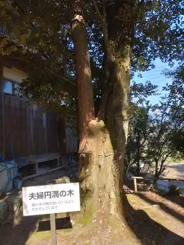 小野神社の自然