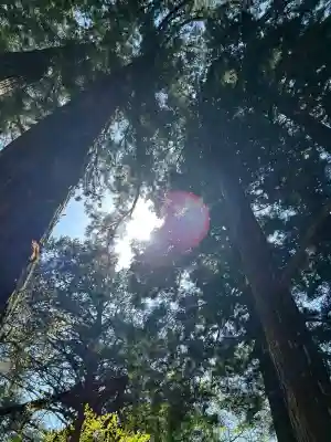 玉置神社の{uncategorized: "未分類", other: "その他", undefined: "問題あり", building: "その他建物", grave: "お墓", sacred_gate: "鳥居", guardian: "狛犬", statue: "像", buddha: "仏像", history: "歴史", nature: "自然", garden: "庭園", animal: "動物", pagoda: "塔", temizu: "手水舎", mountain_gate: "山門・神門", sanctuary: "本殿・本堂", subordinate: "末社・摂社", art: "芸術", scenery: "景色", jizo: "地蔵", ema: "絵馬", goshuin: "御朱印", omikuji: "おみくじ", items: "授与品その他", amulet: "お守り", goshuincho: "御朱印帳", eats: "食事", festival: "お祭り", votive_dance: "神楽", shichigosan: "七五三参", wedding: "結婚式", experience: "体験その他", initially: "初詣", around: "周辺", anti_infection: "感染症対策"}