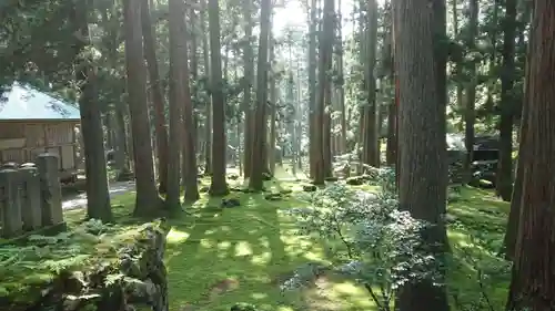 平泉寺白山神社の周辺