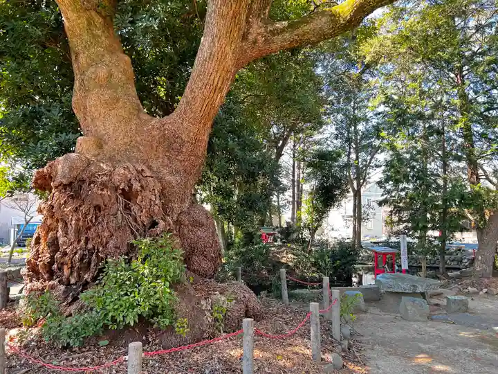 許禰神社の自然