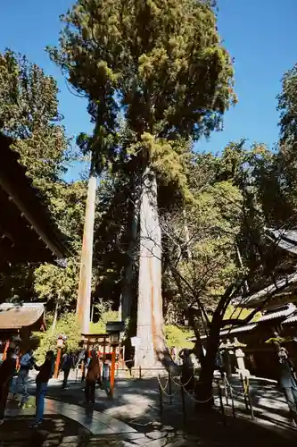 日光二荒山神社(栃木県)