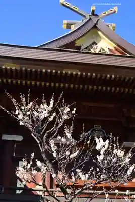 湯島天満宮(東京都)