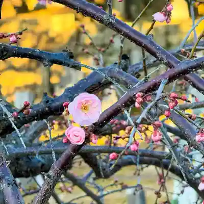 伊勢の国 四天王寺(三重県)