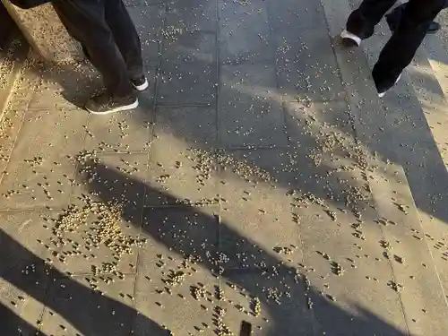 勝山寺(愛知県)