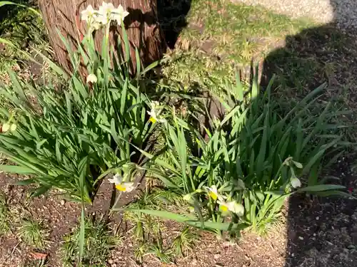 勝楽寺(東京都)