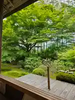 宝泉院(京都府)