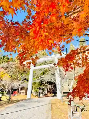 土津神社｜こどもと出世の神さま(福島県)