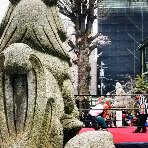 神田神社（神田明神）の狛犬