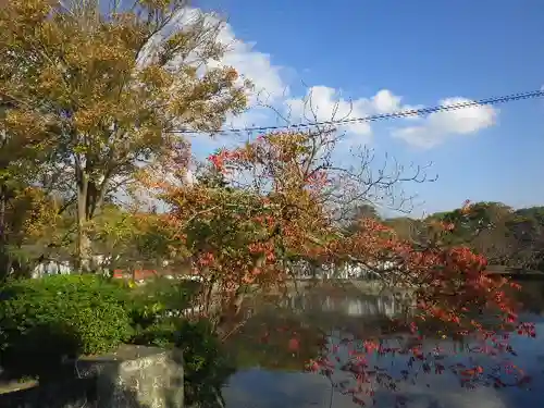 鶴岡八幡宮の庭園